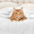 Superior Solid Polyester Reversible All-Season Fleece Throws Blanket-904113349-904113373