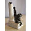 Statue de jardin Altamese en bronze