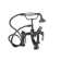 Cadmus 68'' x 30.5'' Freestanding Soaking Cast Iron Bathtub with Faucet