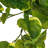40 " H Faux Pothos Tree