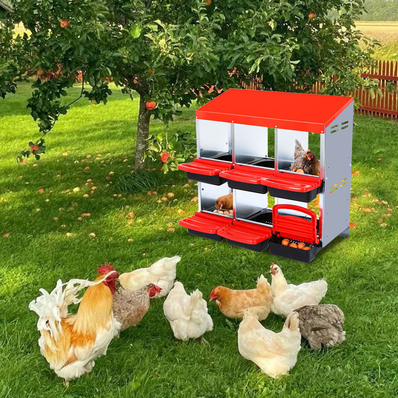 Egg Boxes & Baskets, 79cm H x 81cm W x 52cm D