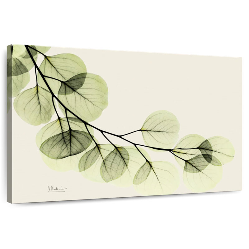 Harnek Mint Eucalyptus, 16" H x 24" W