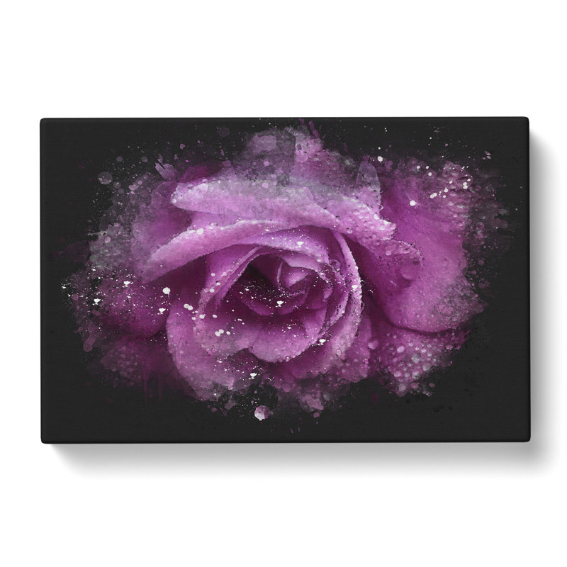 Purple Rose Flower Vol.1 - Wrapped Canvas, 35cm H x 50cm W x 3cm D