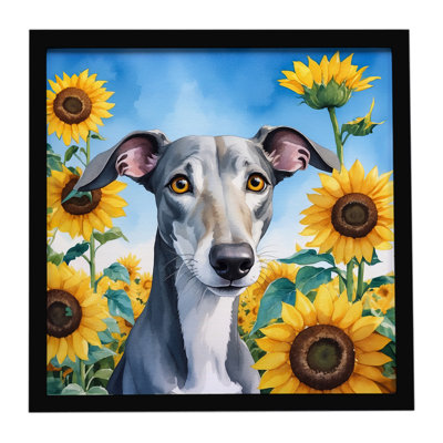 Greyhound in Sunflowers, reproduction d'art encadrée