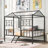 Kedzie Kids-1119488986-1119488981