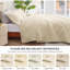 Ensemble de literie pour courtepointe très grand lit Chameaux - couvre-lit léger en microfibre de courtepointe d'été - couvre-lit à motif de vagues pour toutes les saisons - 3 pièces (1 courtepointe, 2 taies décoratives)-104784444