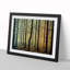 An Enthralling Forest - Framed Print-1442809902-1442809903