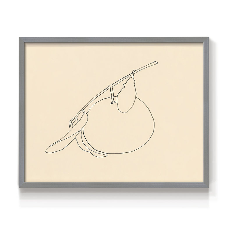 «Citrus Contour II», reproduction encadrée, Gris, H 16 po x l 20 po