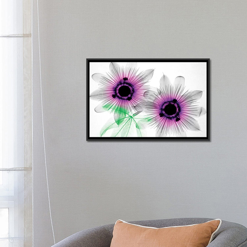 «Passion Flowers», impression sur toile, H 18 po x l 26 po x P 1,5 po, Toile avec cadre noir, Pas de tapis