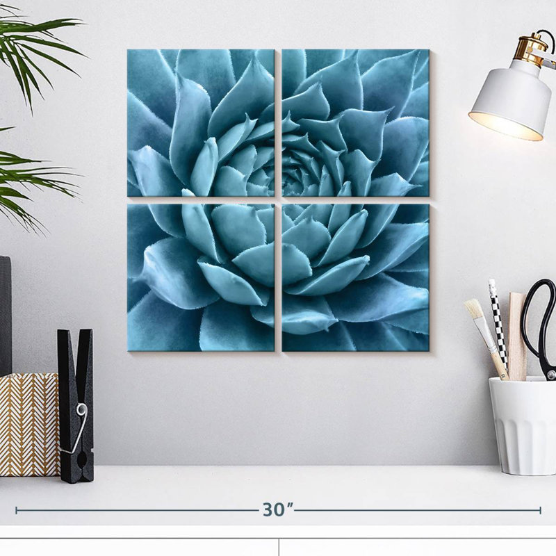 Agave bleu argenté Harnek, H 18 po x l 18 po