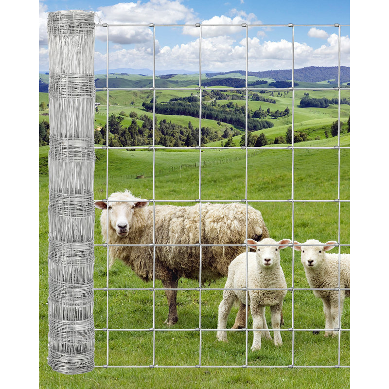 Clôture pour bovins - Clôture en fil de fer galvanisé robuste pour les moutons, les porcs, les chèvres et les cerfs, clôture grillagée durable