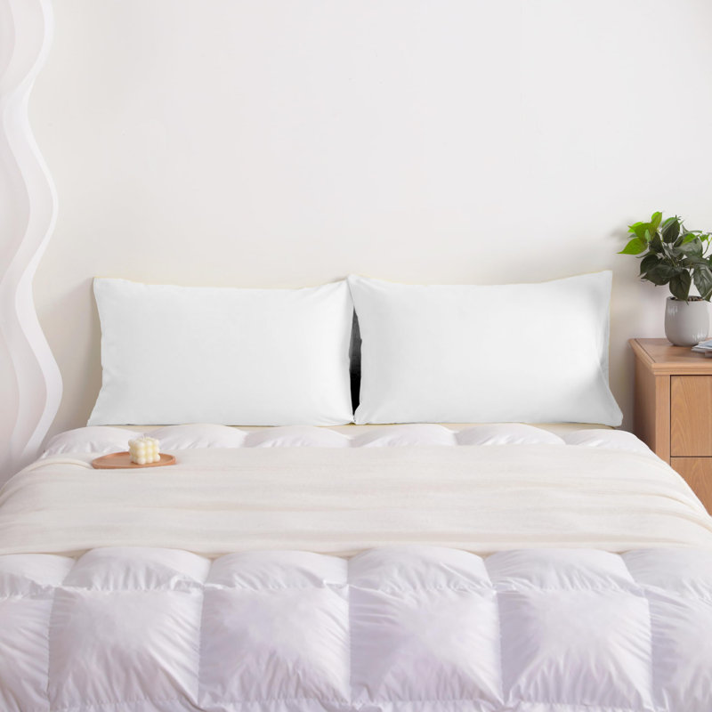 Taies d'oreiller en microfibre brossée Easy Care, Taie d’oreiller standard, Blanc