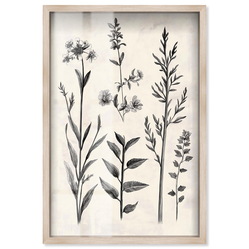 Décoration murale "Meadow Herbs II" par Art Remedy, cadre blond, 11 x 16, Cadre blond, H 16 po x l 11 po