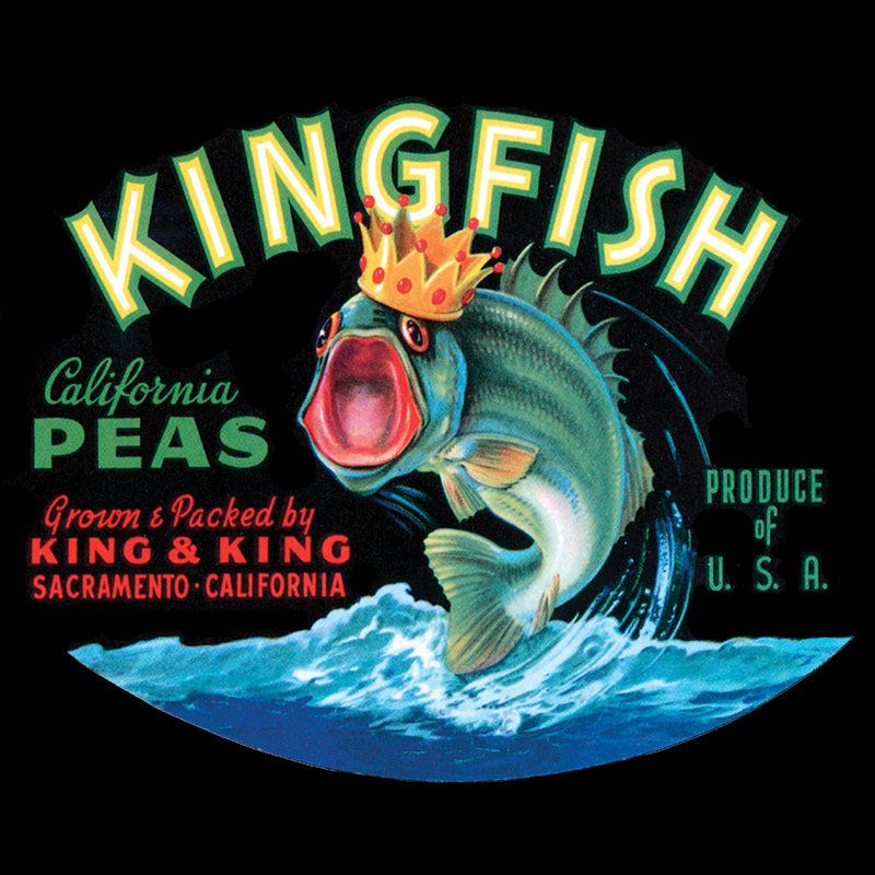 Kingfish by Vision Studio - Wrapped Canvas Art Prints, 91cm H x 91cm W
