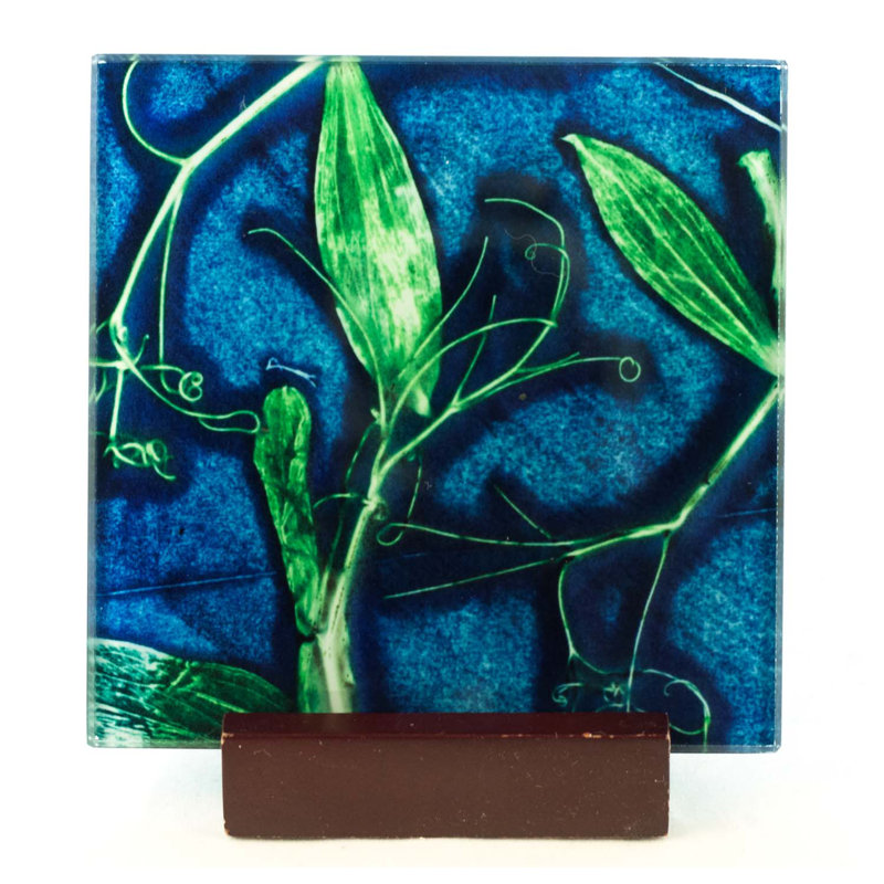 Glass Square 1 Piece Coaster, Blue