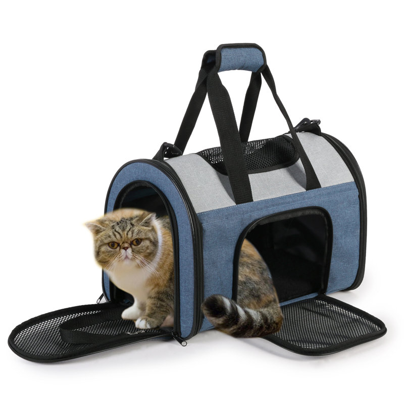 Collapsible Pet Carrier, Blue