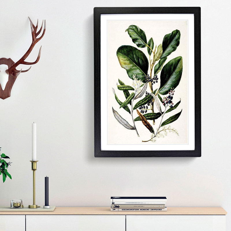 Griselinia Lucida Flowers by Sarah Featon - Picture Frame Painting Print, Black Framed, 36cm H x 27cm W x 2cm D
