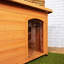 Dog House-1996064636