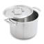 Demeyere Essential 5-Ply 8-Qt Stainless Steel Stock Pot with Lid