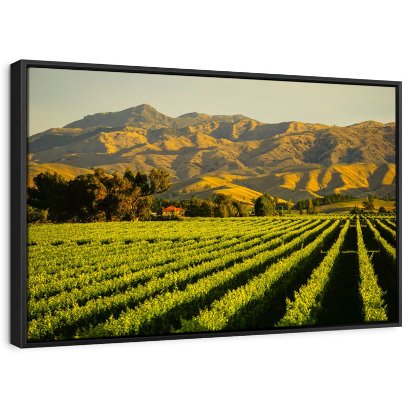 Nature " Blenheim Vineyard Wall Art ", 13" H x 19" W