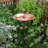 Hummingbird Birdbath with Stake