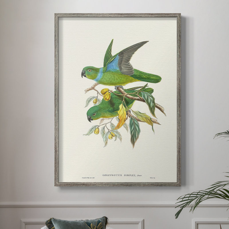 Lime & CeruleanParrots II, reproduction encadrée - bois massif, H 11 po x l 9 po