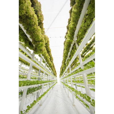 Ferme hydroponique verticale par Louishemstra