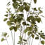 Arbre artificiel 72 '' FUMÉ ARBRE en pot