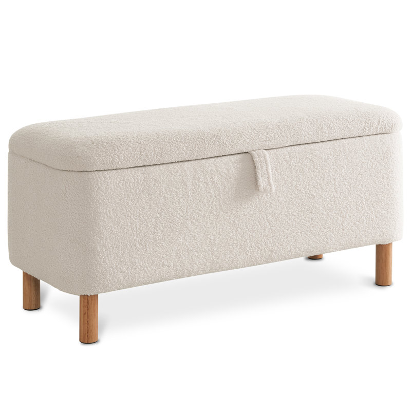 Dayvian 39.3" Storage Ottoman Bench for End of Bed, White