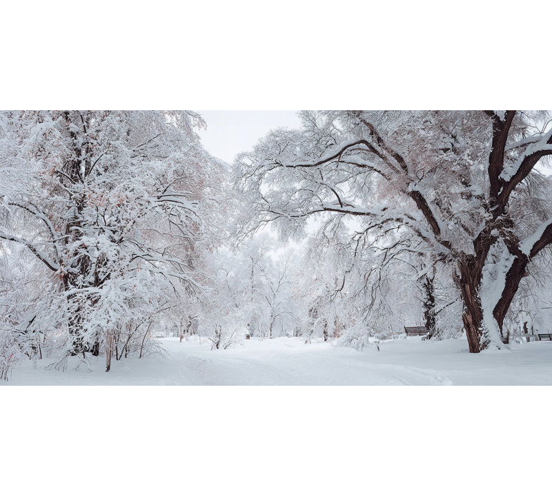Art mural sur toile neige, 20 po x 40 po