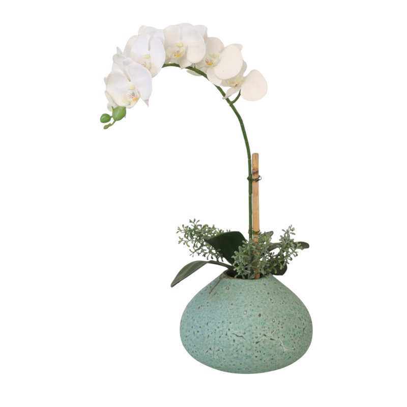 Orchidée Phalaenopsis blanche dans un vase turquoise