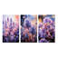 «Meadow Lavender Enchantment», 3 pièces sur toile-1166423415-1166423404