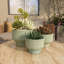 Ensemble de pots à fleurs en céramique 3 pièces Destina-91944614