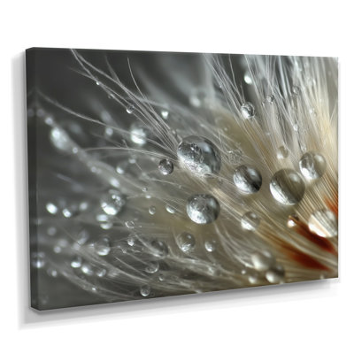 «Winter Feather Water Droplets - Abstract Collages», art mural gris contemporain encadré