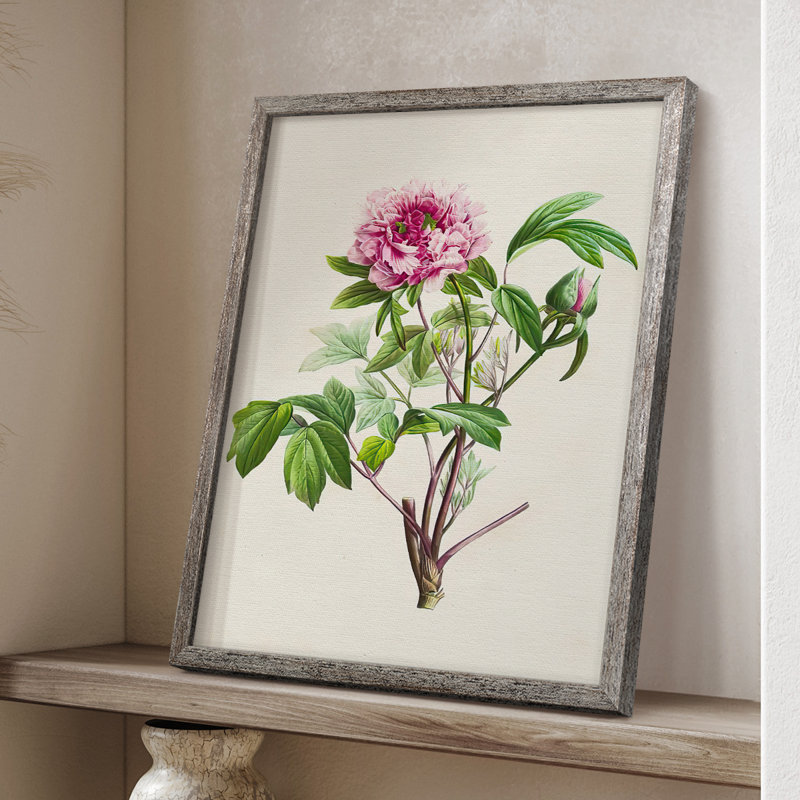 «Pretty Pink Botanicals», reproduction encadrée en bois massif, H 30 po x l 24 po
