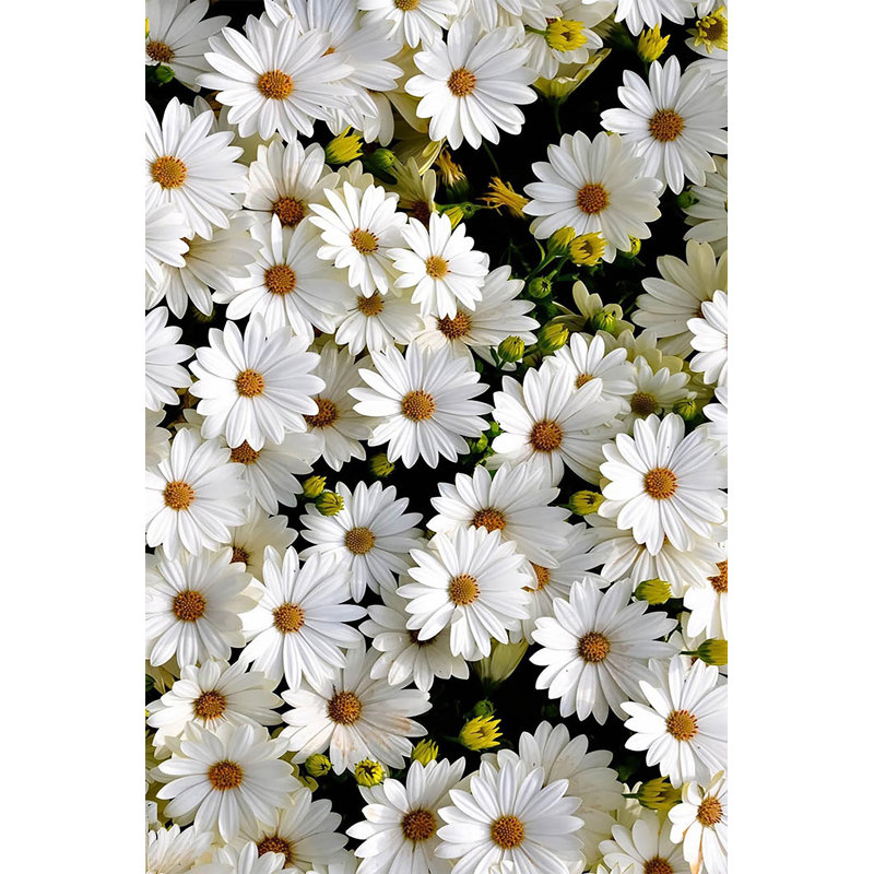 Luxurious Woven Carpet, 3D Digital Printed, 4.0 x 5.9 ft | 100% Polyester, Antibacterial & Non-Slip Underside | Pile Height: 0.3 in, Top Pile Weight: 4.9 oz | Machine Washable, Perfect for Living Room & Bedroom Decor