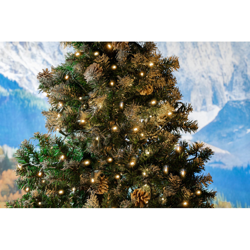 20 Light String Lighting