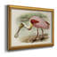 Roseat Spoonbills II - peinture sur toile encadrée-638858298