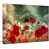 Wrapped Canvas