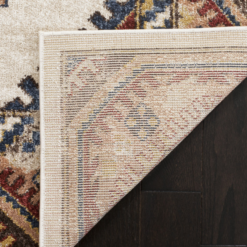 Isanotski Performance Southwestern Rug, Runner 2'3" x 10'