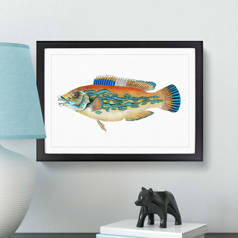 Striped Bass Fish by Edward Donovan - Picture Frame Art Print, 36cm H x 48cm W x 2cm D, Black Framed