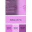 Tapis Mauve-146352686
