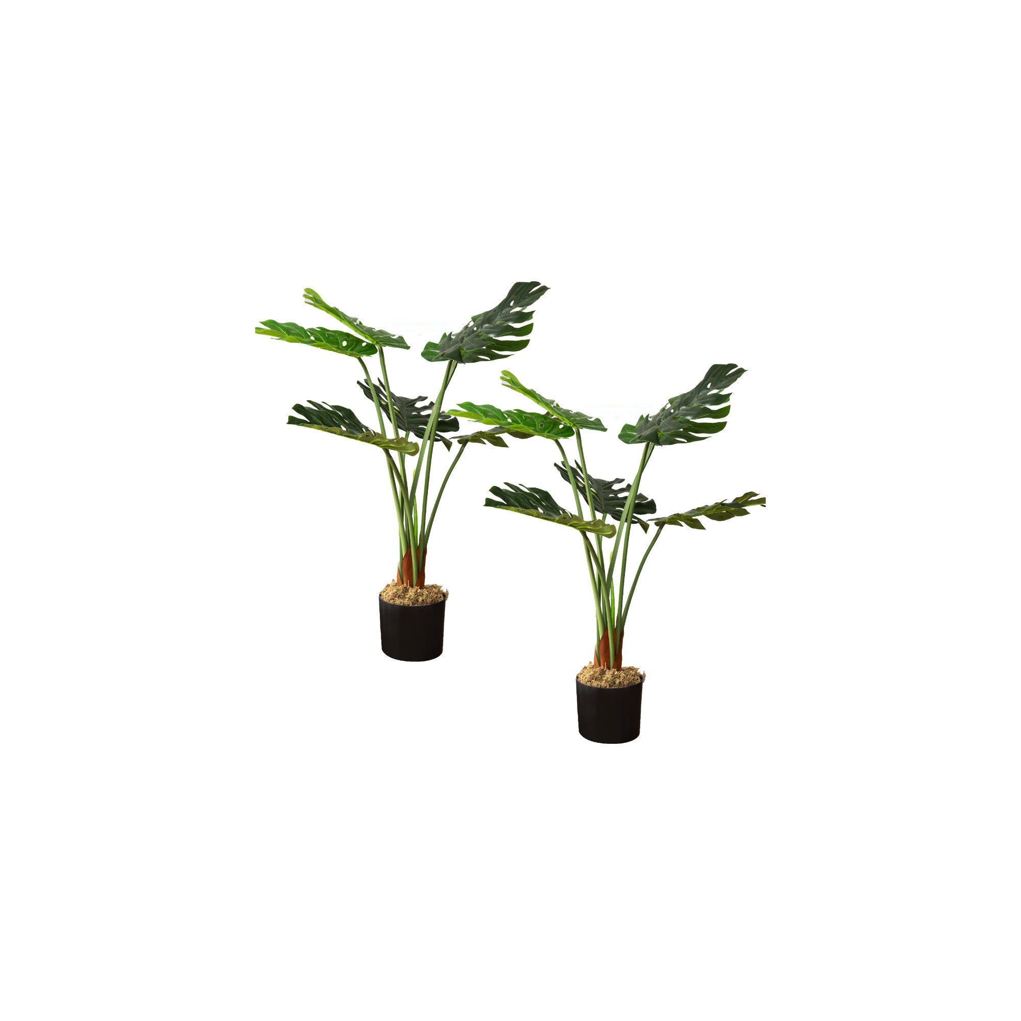 Faux Monstera Plant in Pot, 2, 36" H x 15" W x 15" D