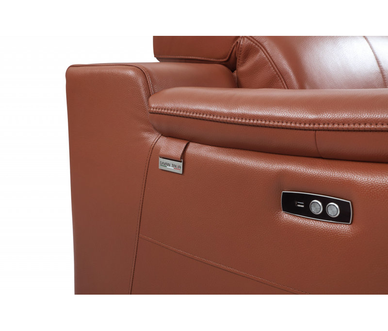  Fauteuil en cuir italien Camel avec accents argentés, Brown