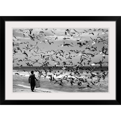 «Birds Birds» par Liesbeth Van Der Werf, Straub, reproduction de photo