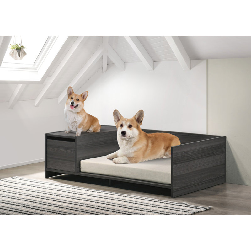 Lit pour animaux de compagnie moderne confortable avec coussin et compartiment de rangement latéral Esme
