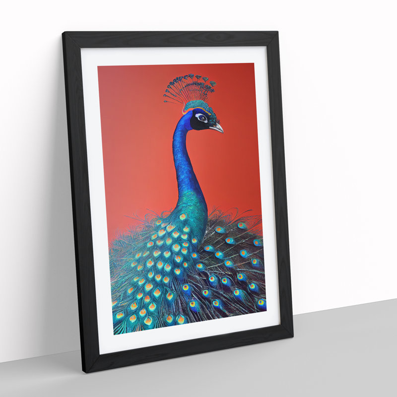 Extraordinary Peacock - Single Picture Frame Print, Black, 64cm H x 46cm W x 2cm D
