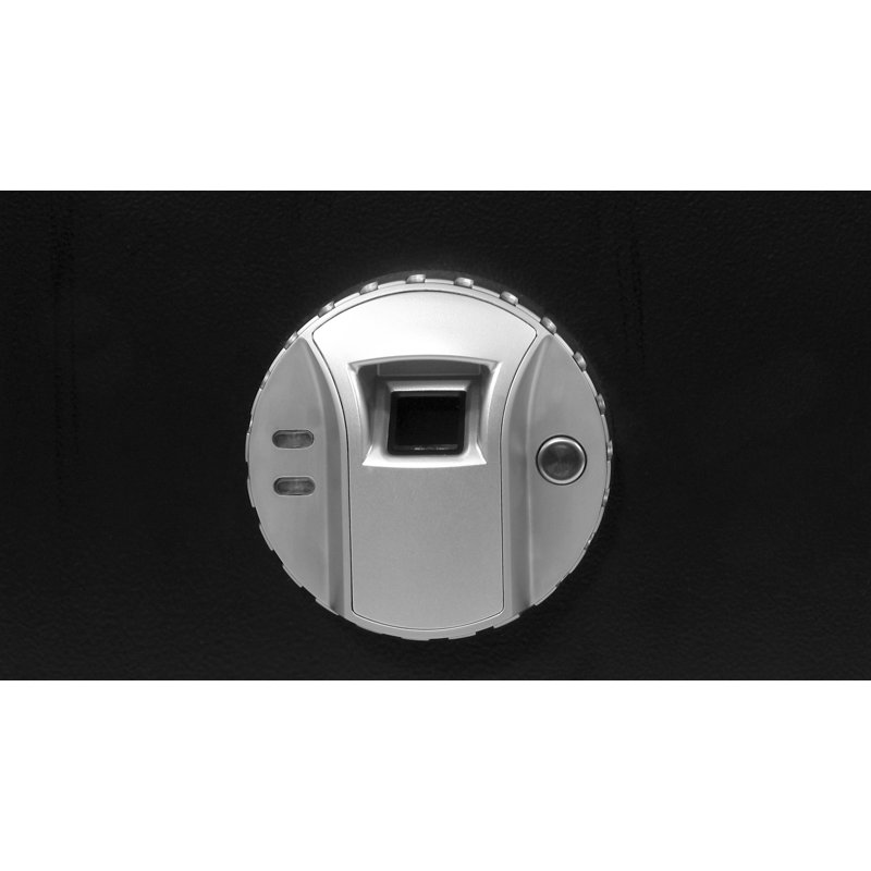 0.23 CUBIC FT TOP OPENING BIOMETRIC SAFE