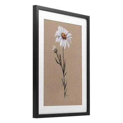 Daisy Sprout on Tan Framed Print Under Glass, design by Cady Driver