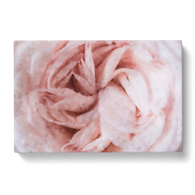 Petals Of A Pink Carnation - Wrapped Canvas Print, 35cm H x 50cm W x 3cm D